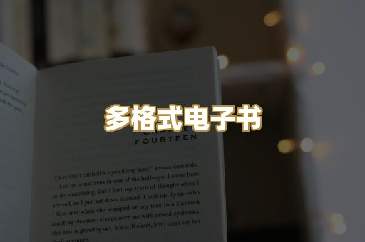 多格式电子书